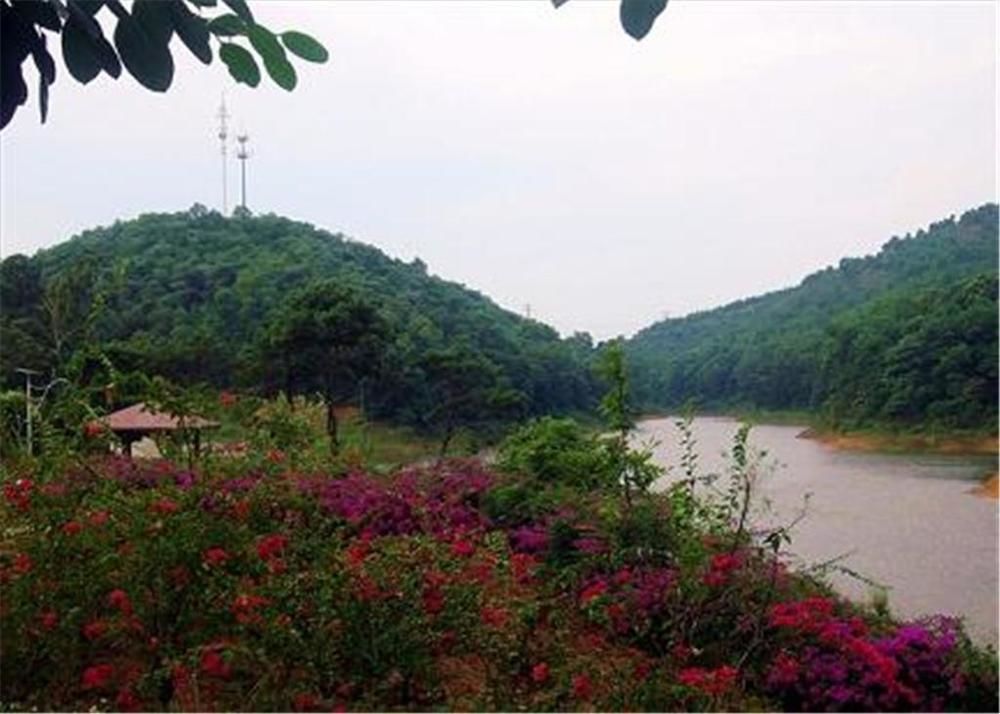 Phoenix Hotel Wuyi Jiangmen Εξωτερικό φωτογραφία